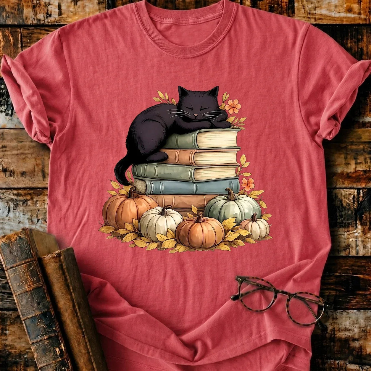 Black Cat Sleep On Books T-Shirt